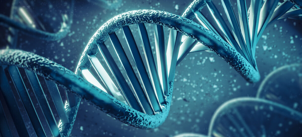 Afamilyhealthcarellc